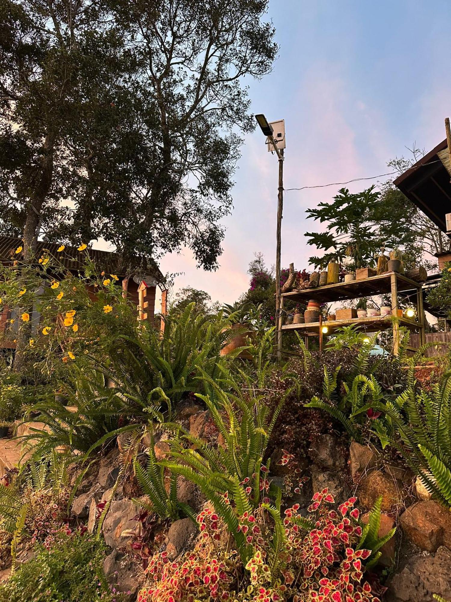 Ta Dung May Farm Bidong Exterior foto